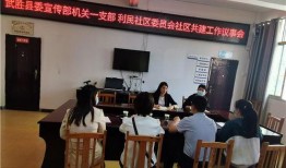 武胜最新爆料消息新闻,揭秘重大新闻背后的惊人真相